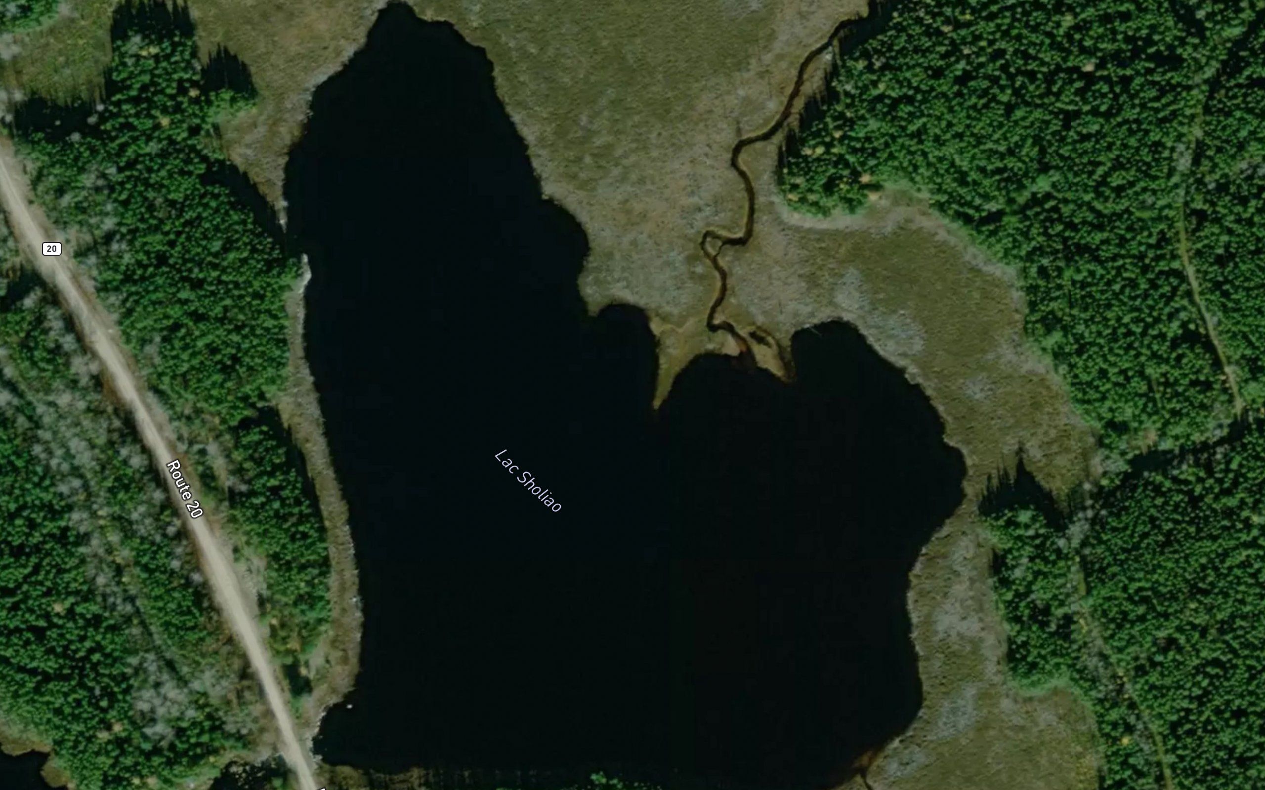 Lac Sholiao