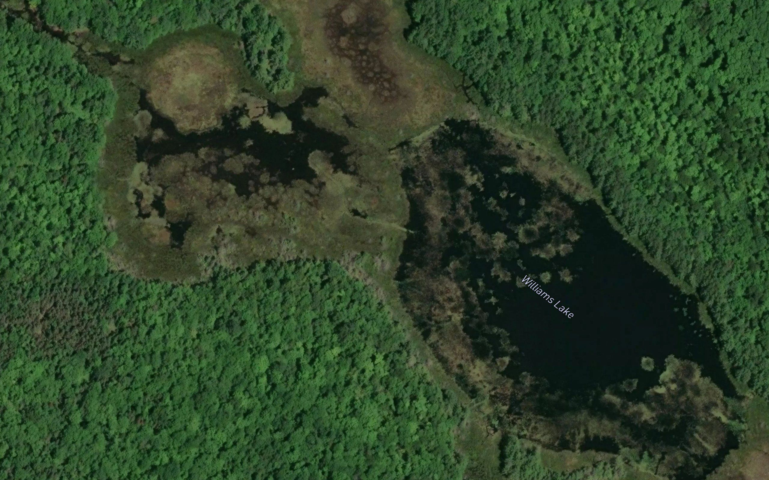 Williams Lake