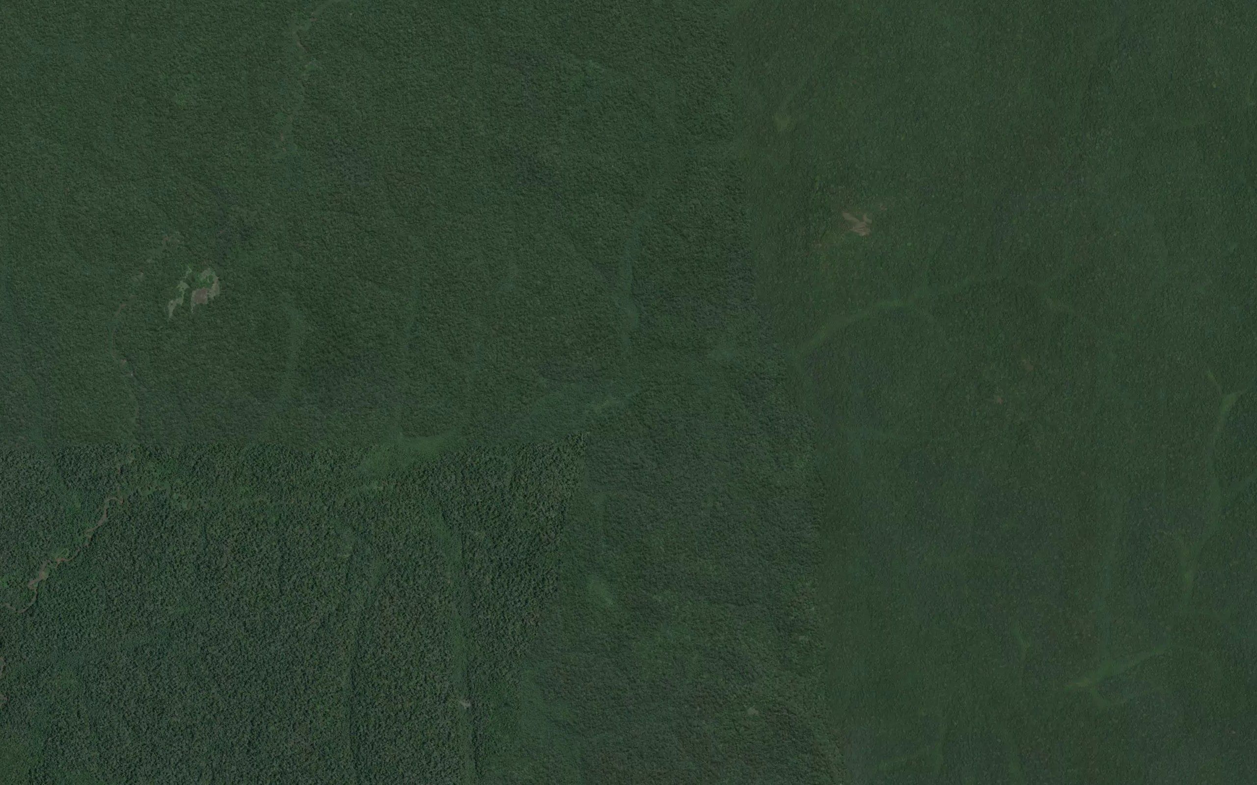 Kifekumru