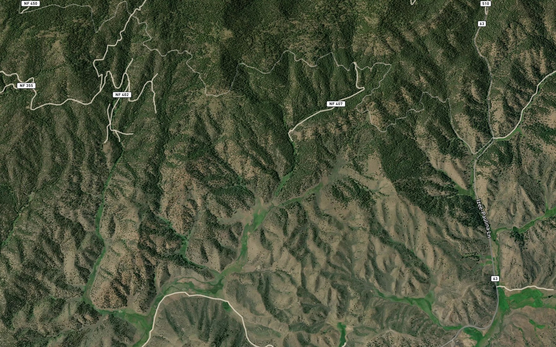 Satellite map of the Sulphur Spring