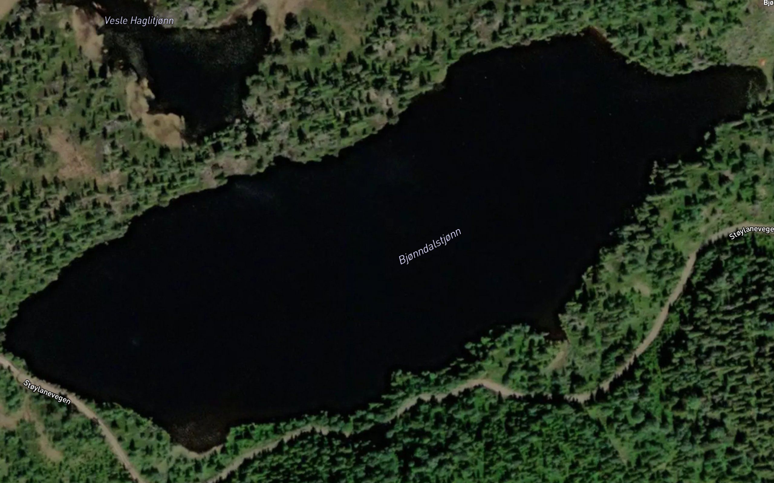 Bjorndalstjorni