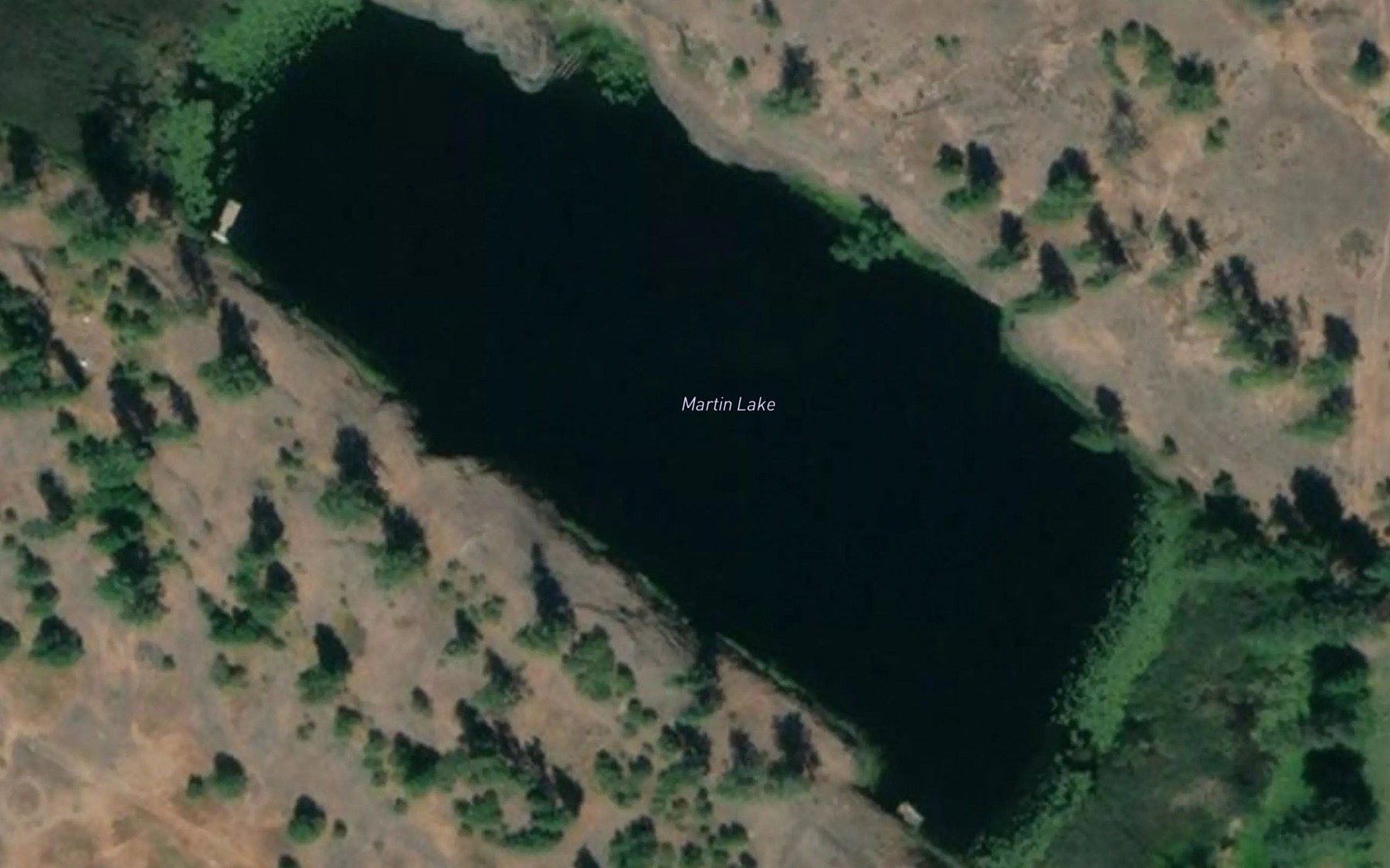Satellite map of the Martin Lake