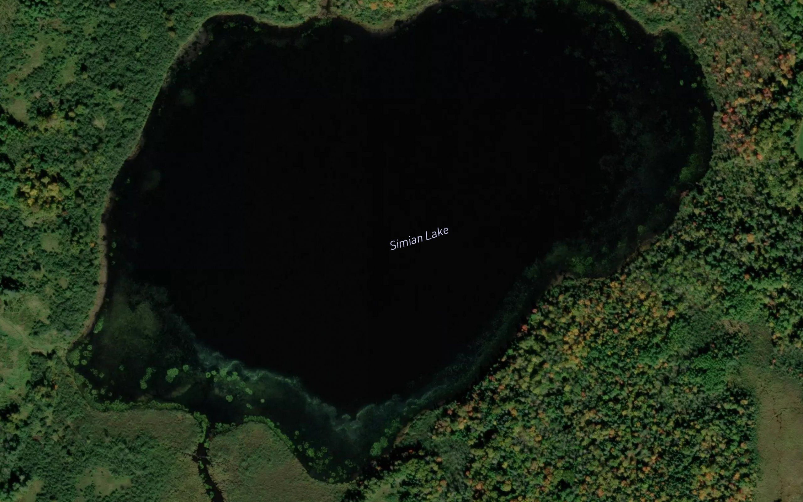 Simian Lake