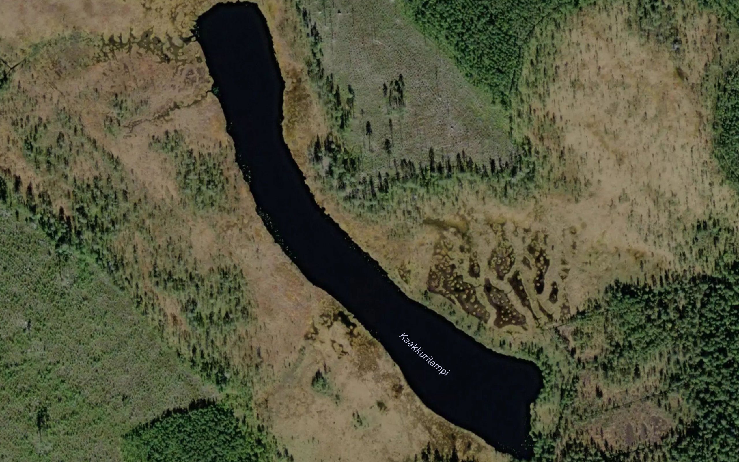 Kaakkurinlampi