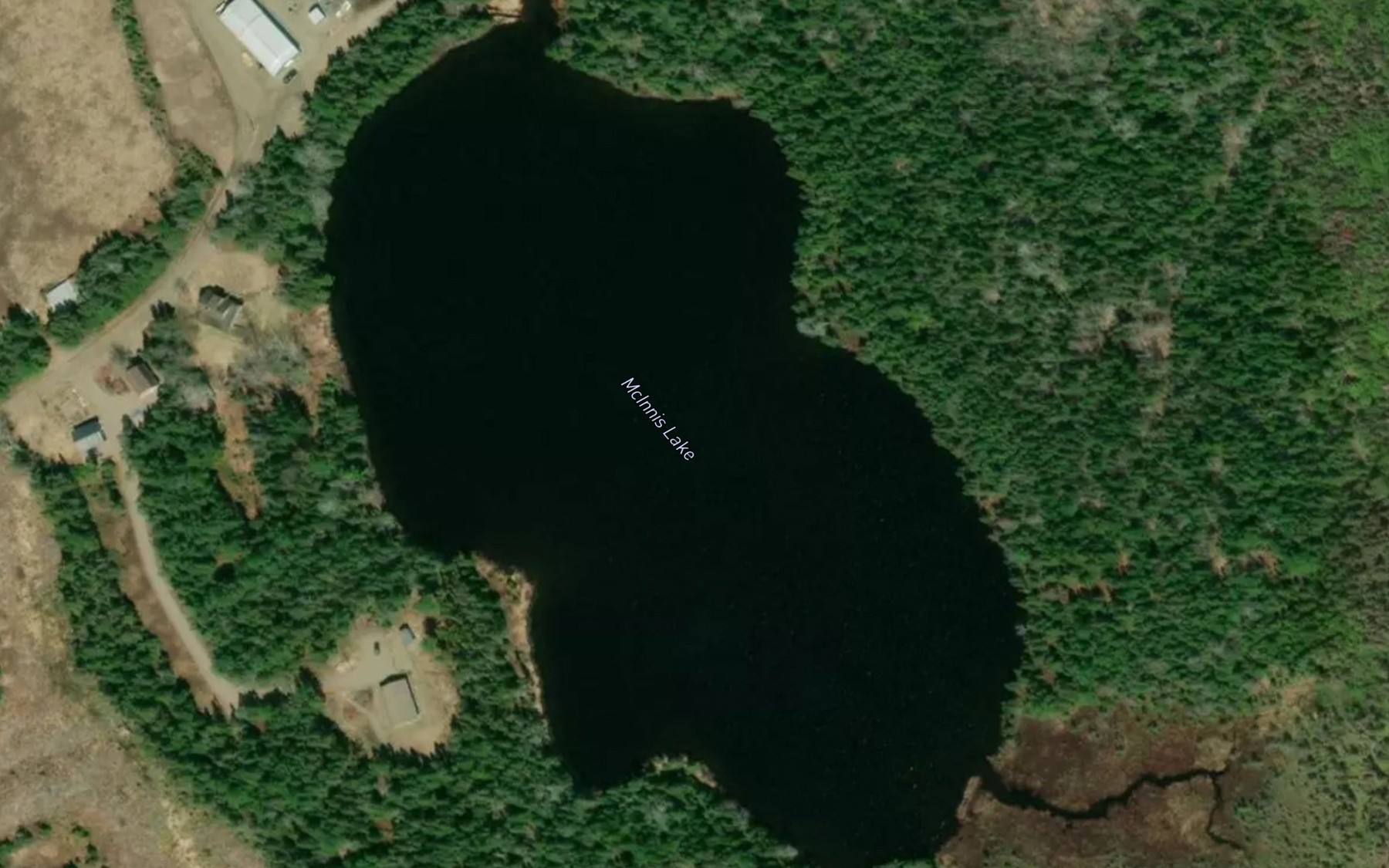 Satellite map of the McInnis Lake