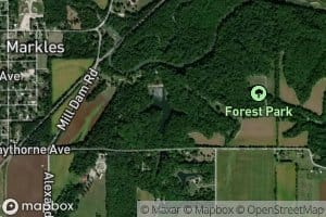 Forest Park Swimming Pool