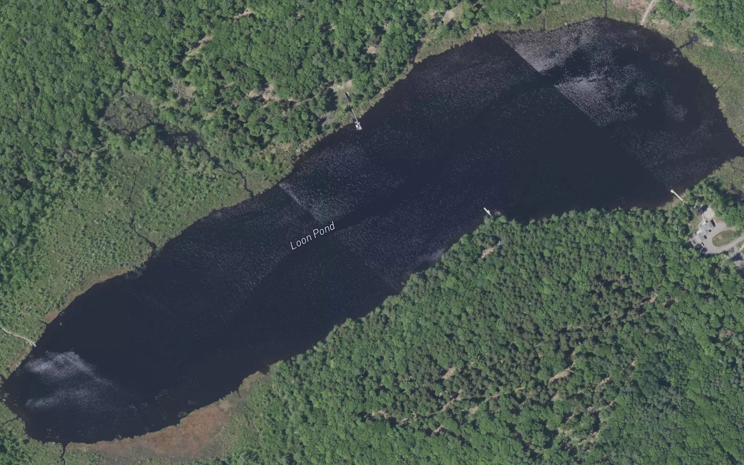 Loon Pond