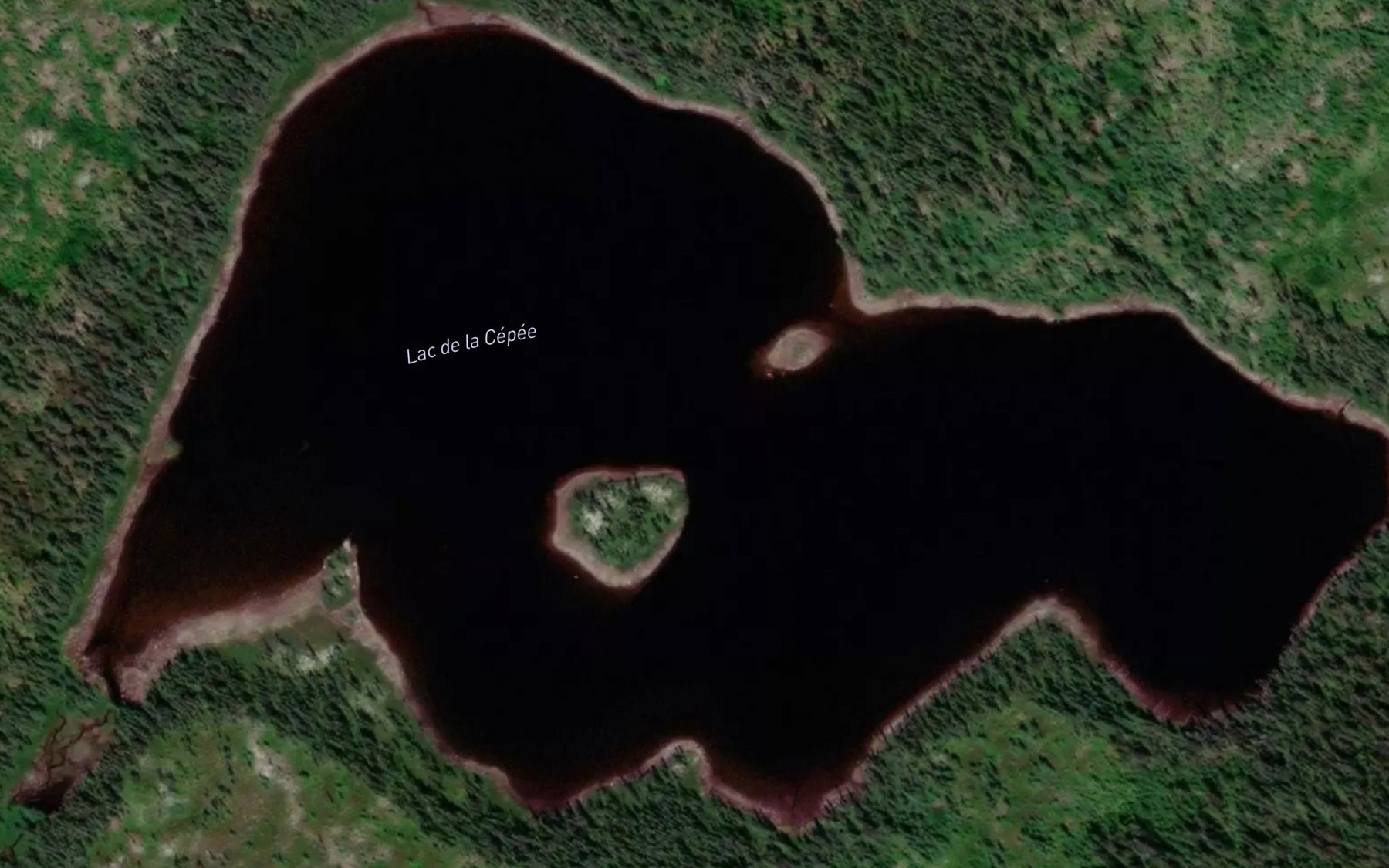 Satellite map of the Lac de la Cepee