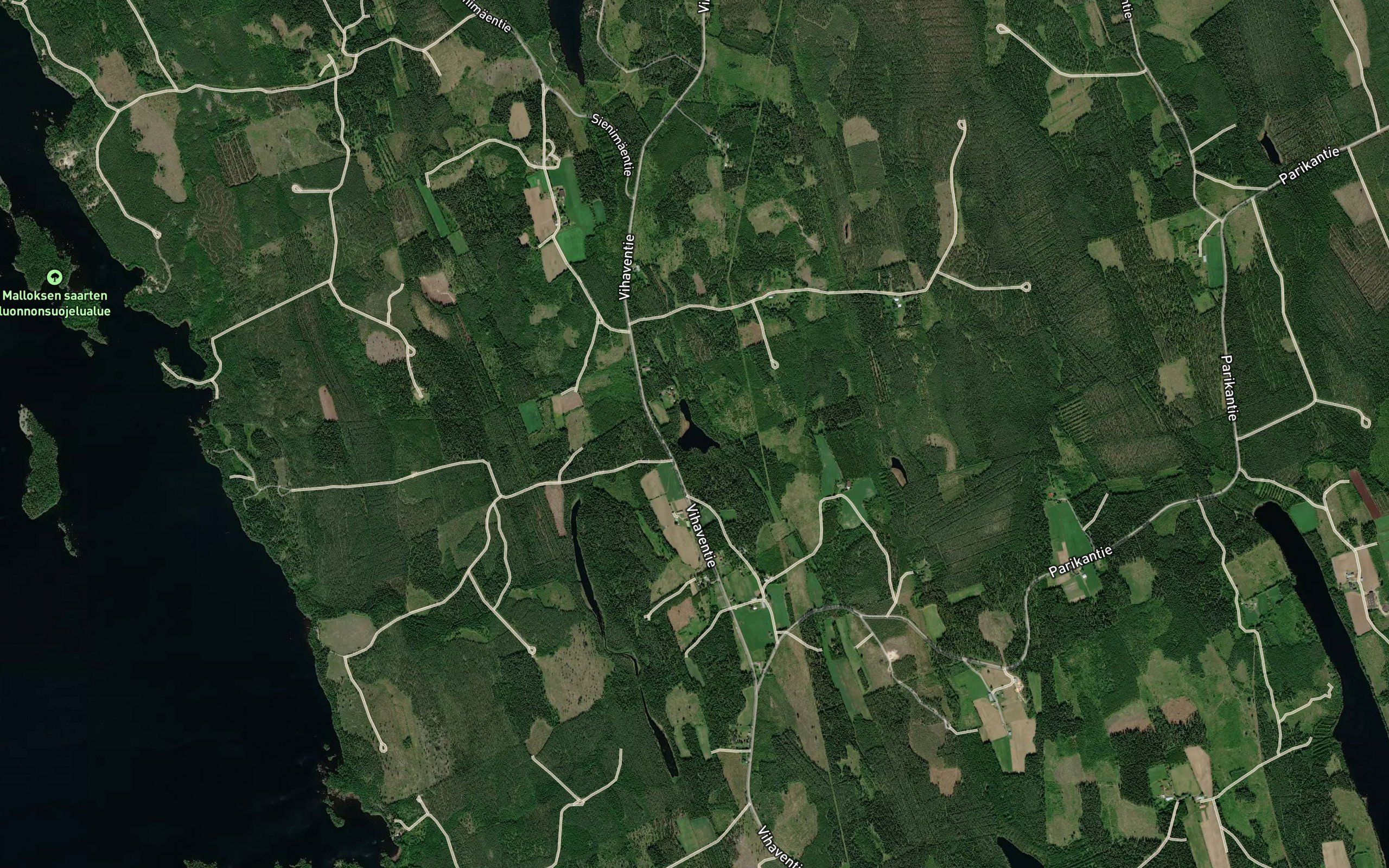 Kurkilampi