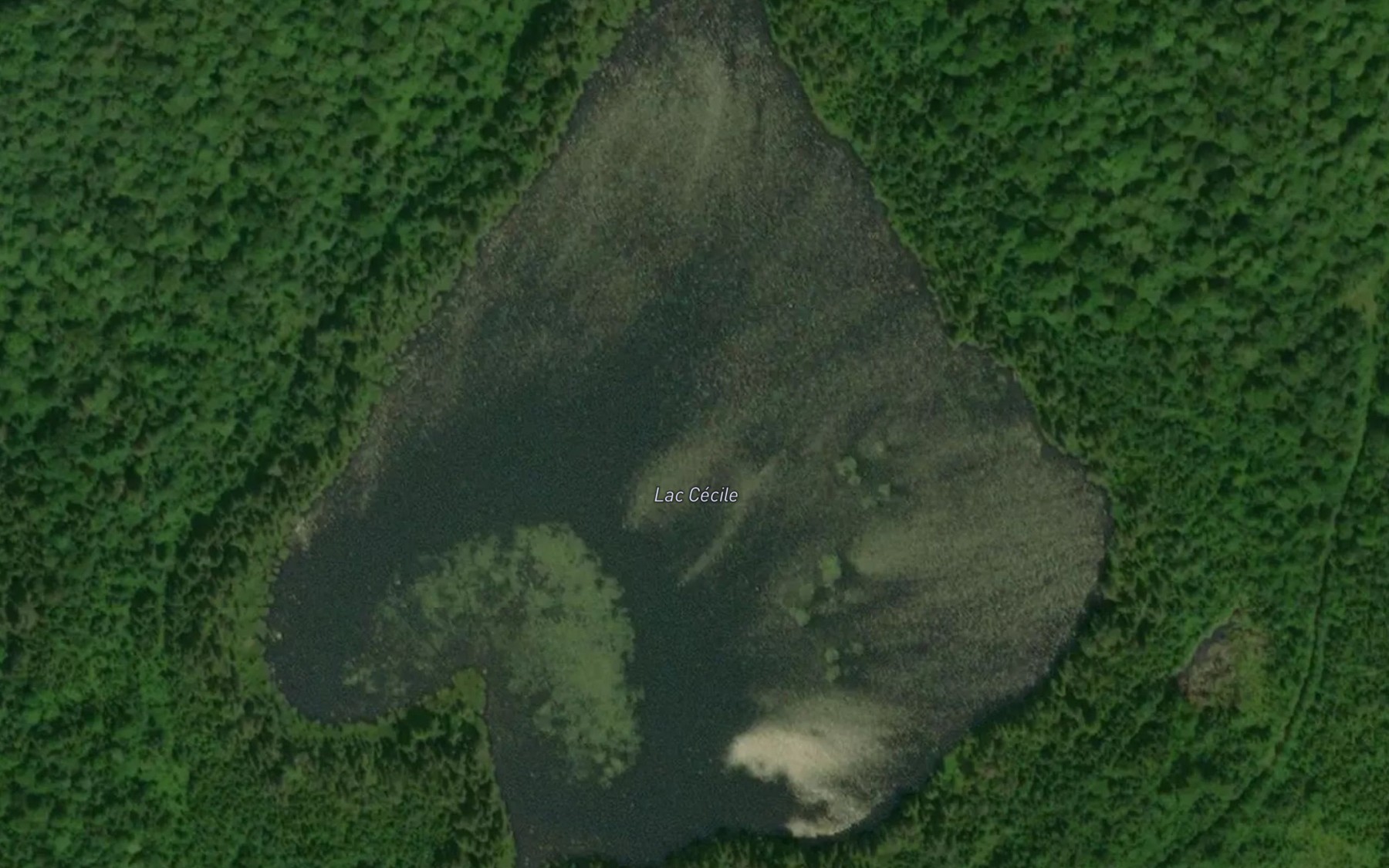 Satellite map of the Lac Cecile