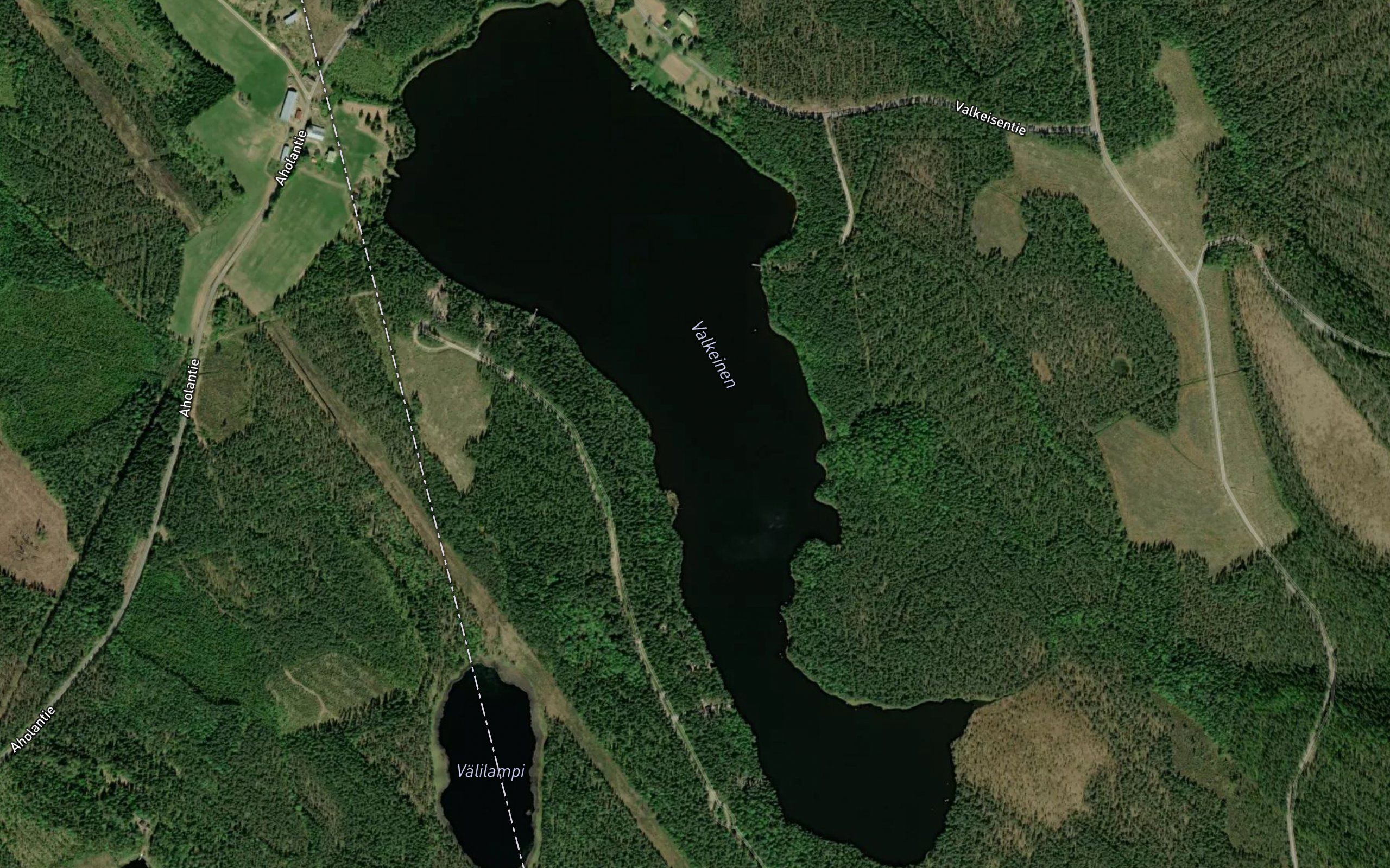 Valkeinen