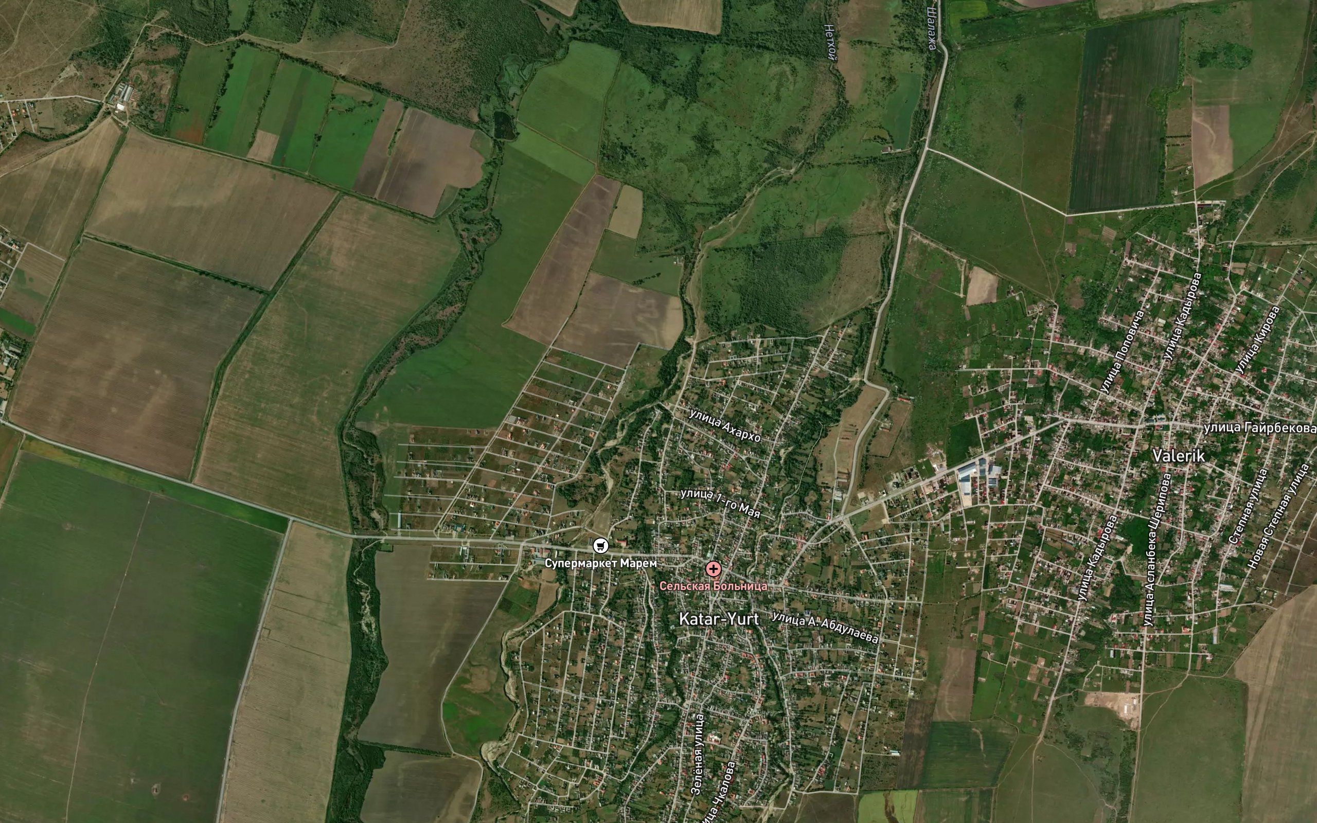 Netkhoy