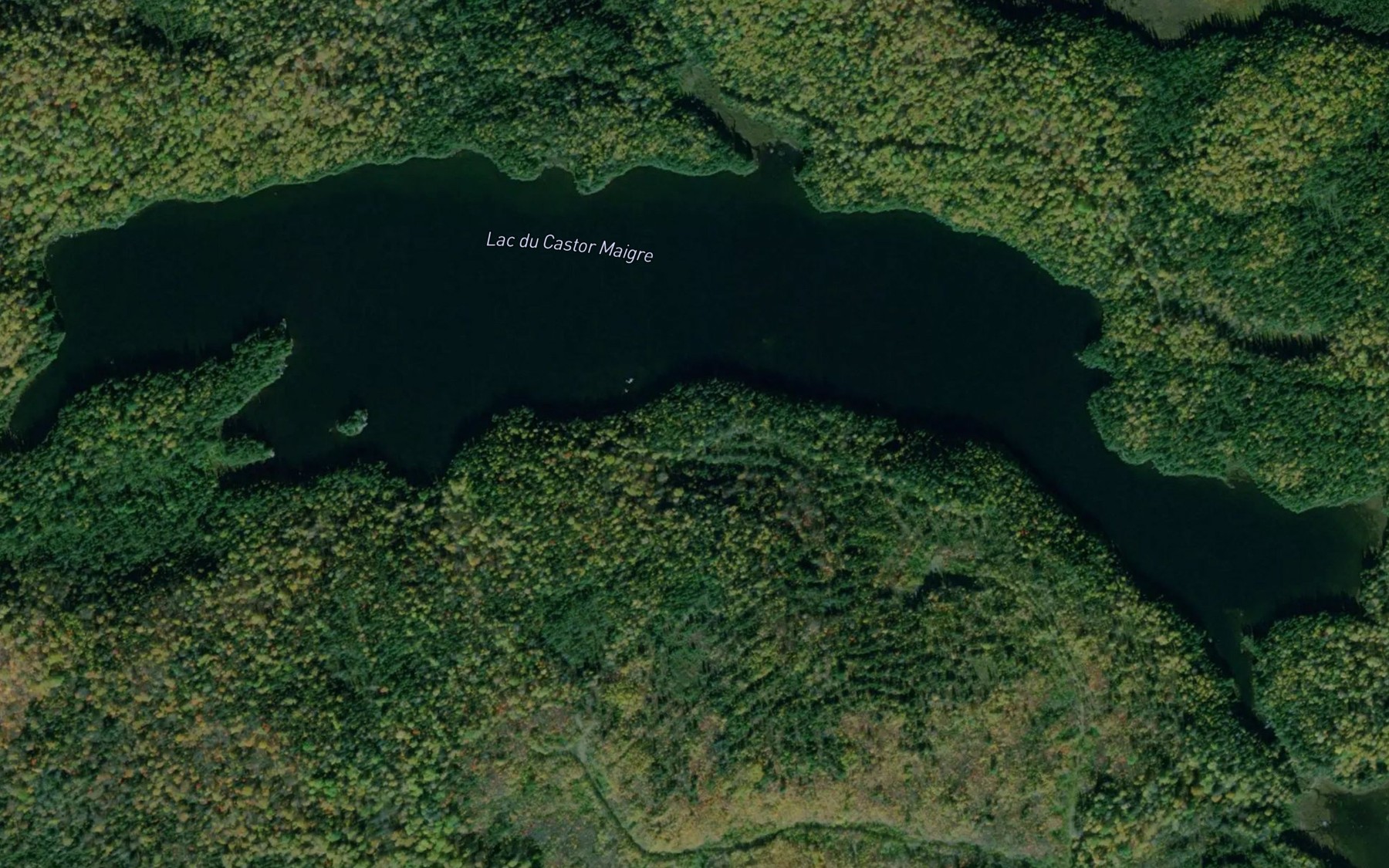 Satellite map of the Lac du Castor Maigre