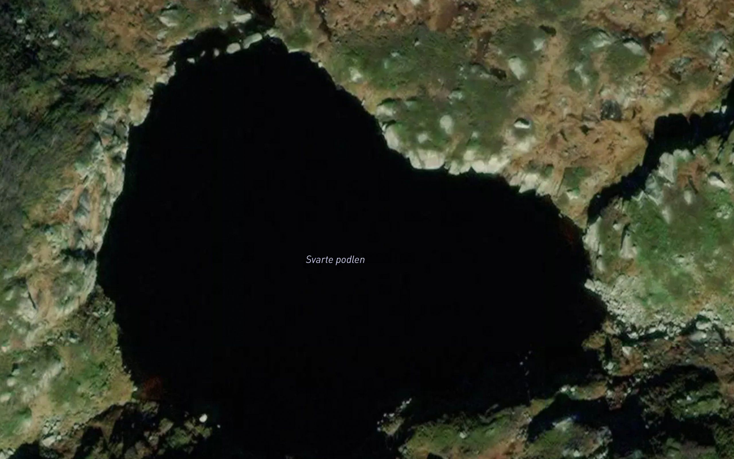 Svarte podlen