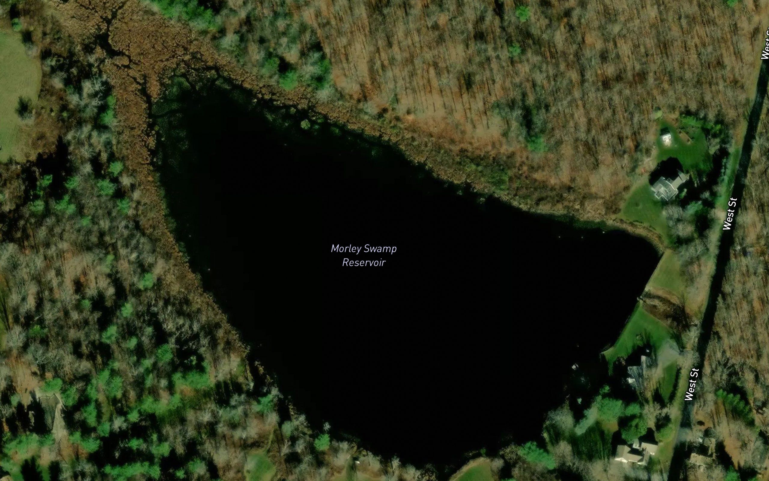 Morley Swamp Reservoir