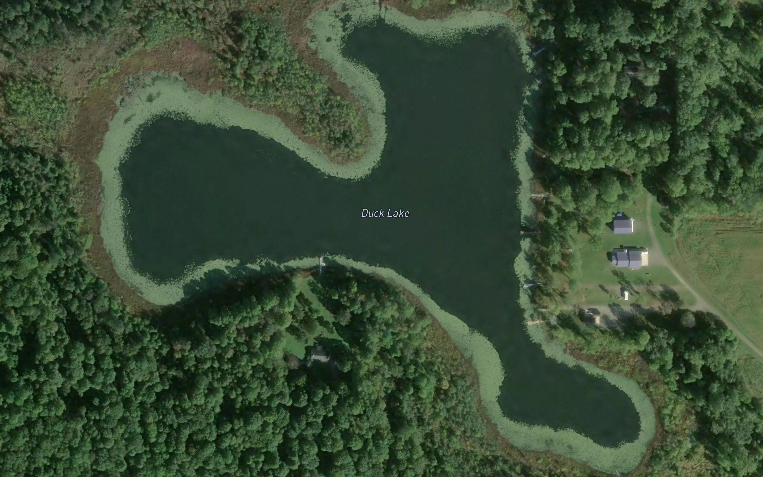 Duck Lake