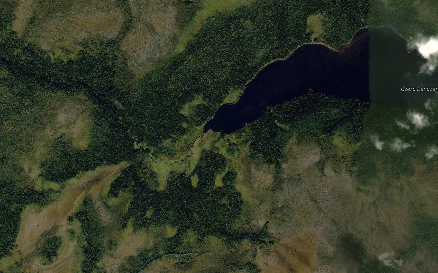 Satellite map of the Lena