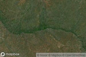 Yellow Jacket Spring