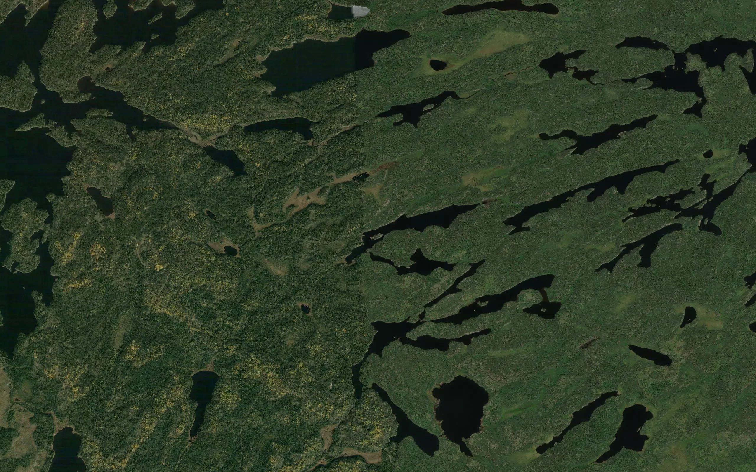 Gayo Lake