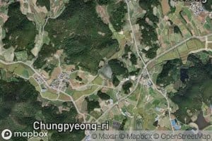 Chungpyeongje Il Jeosuji