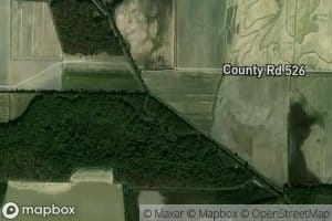 Ditch Number 210