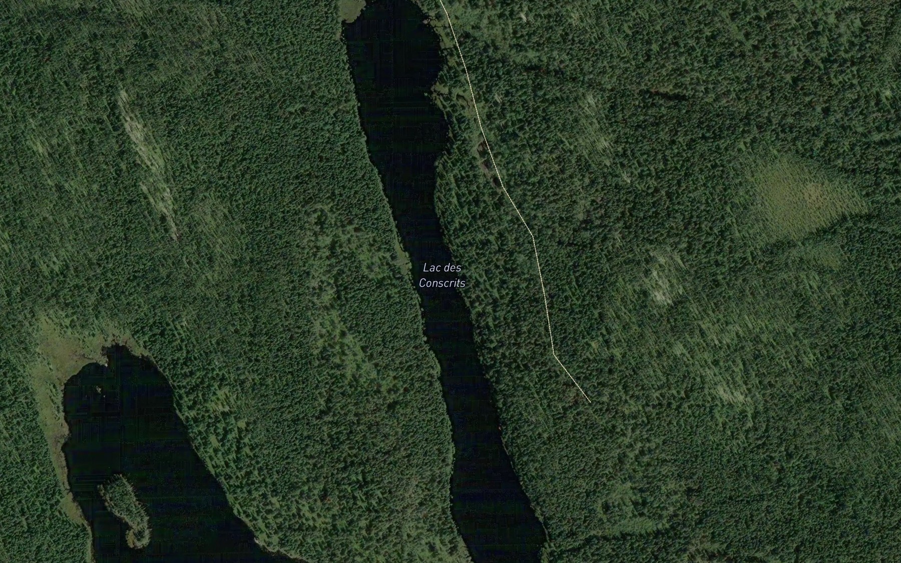 Satellite map of the Lac des Conscrits