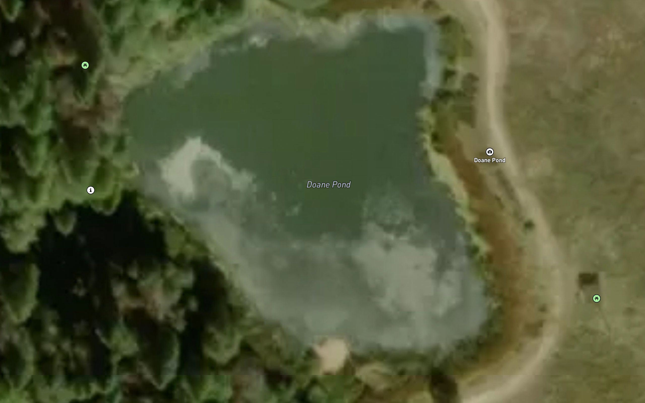 Doane Pond