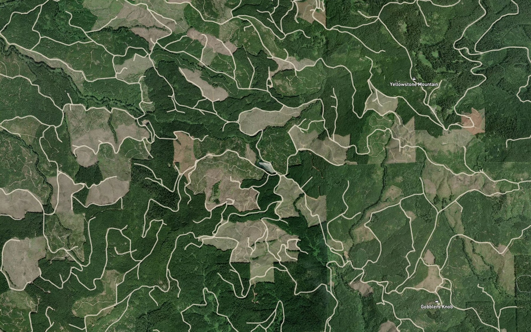 Satellite map of the Billy Lake