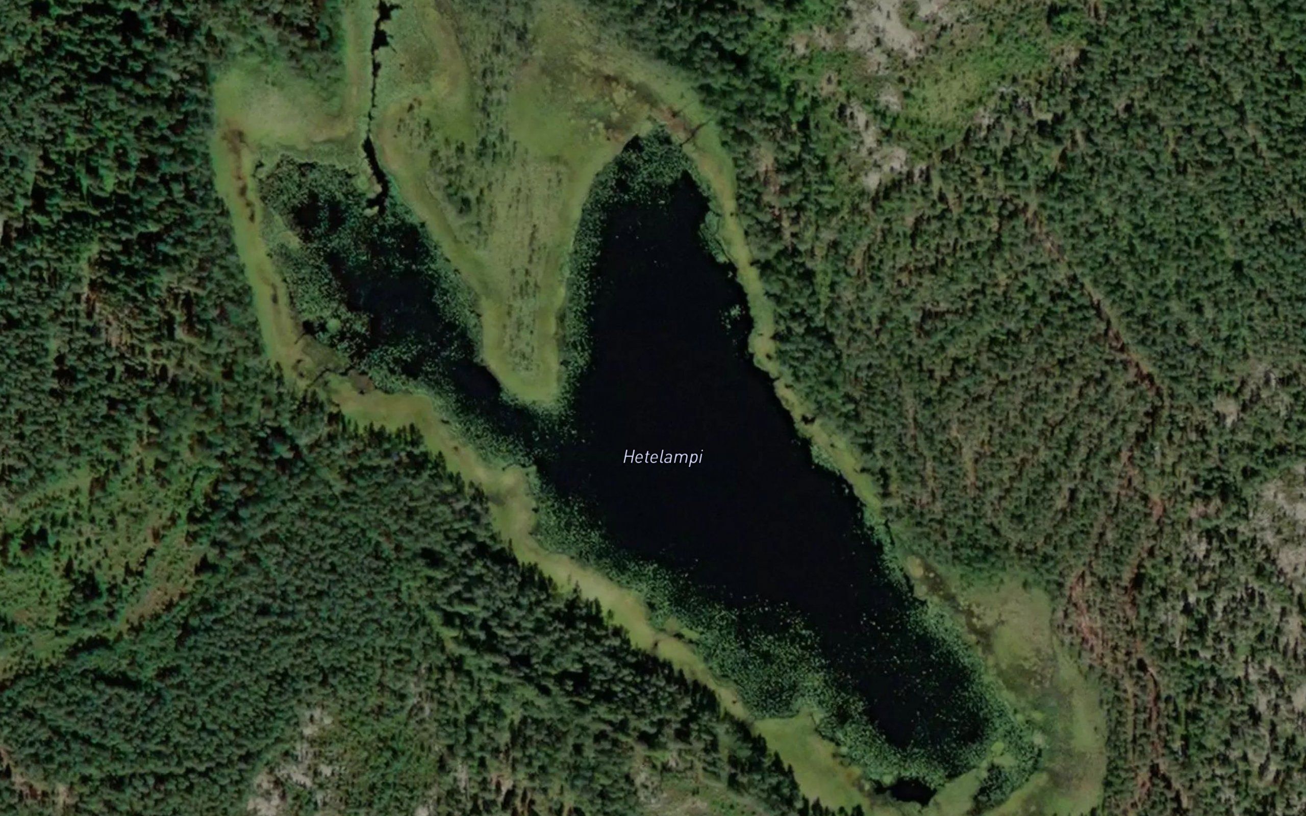 Hetelampi
