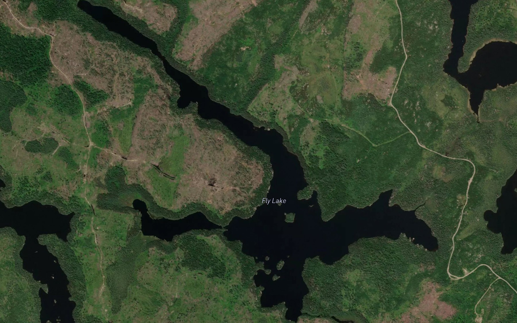 Satellite map of the Fly Lake