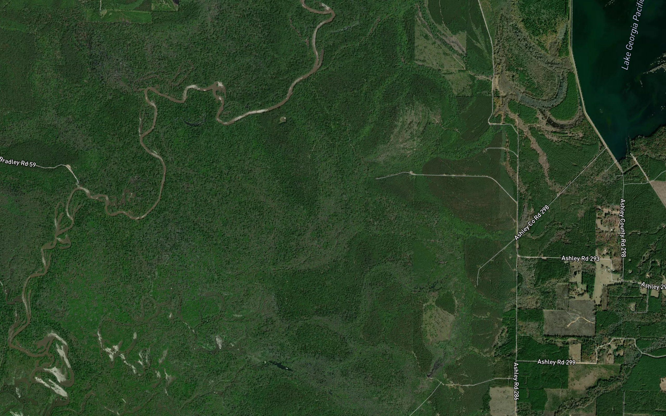 Carroll Slough