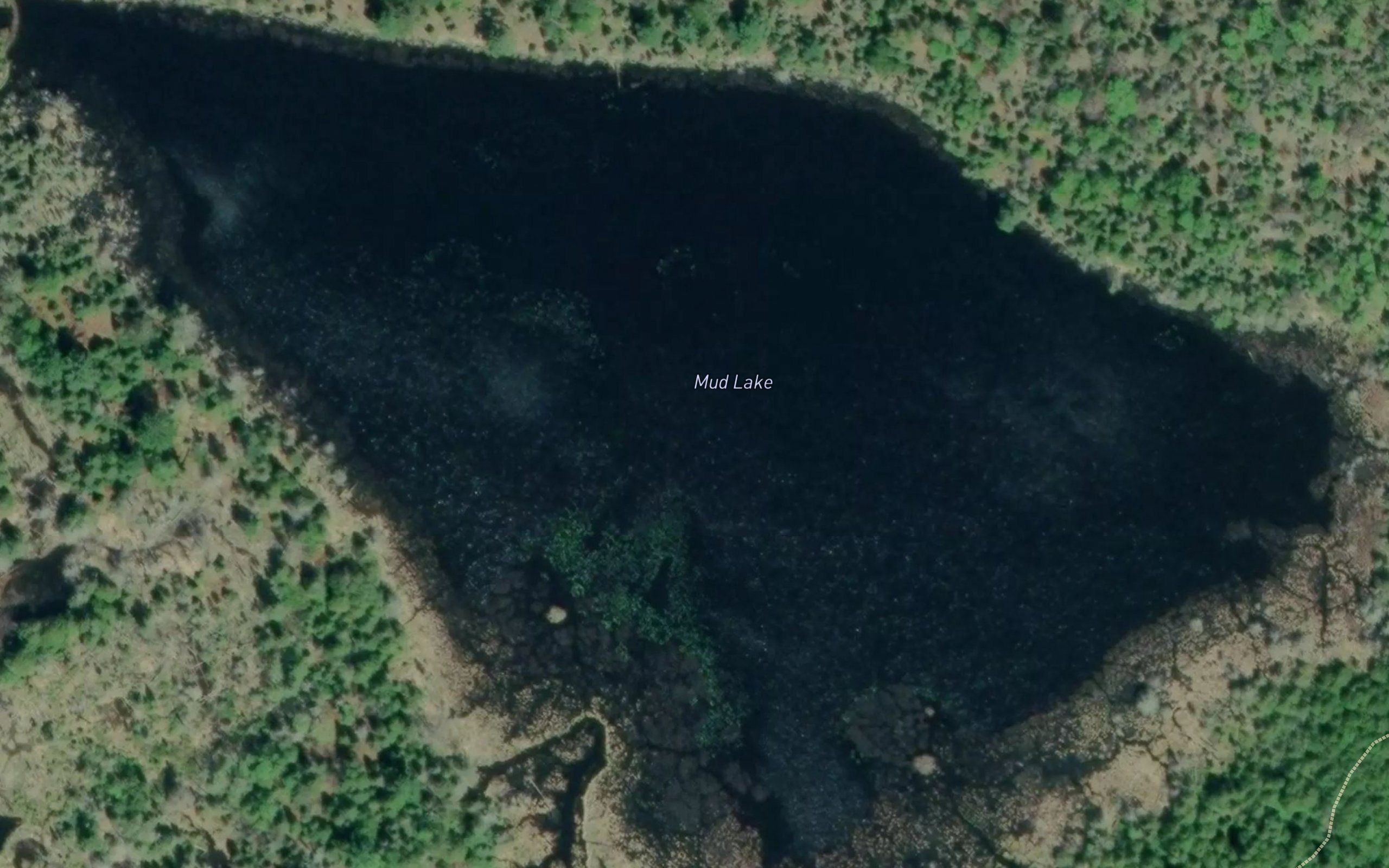 Mud Lake