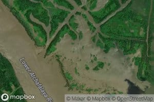 Honey Bayou