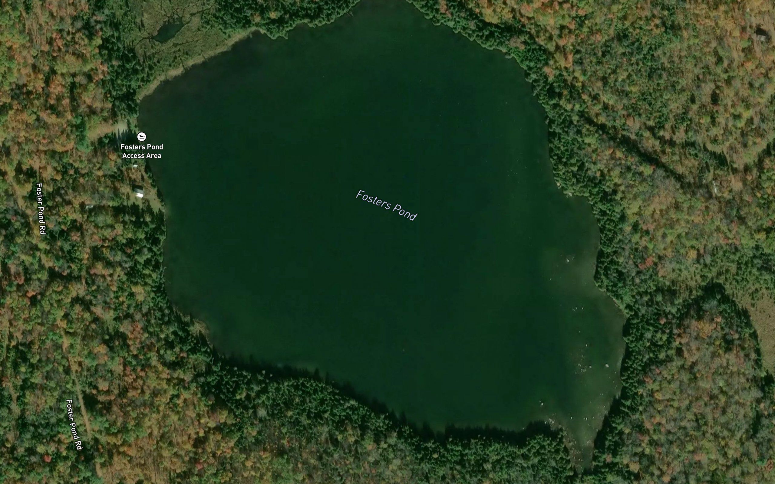 Fosters Pond