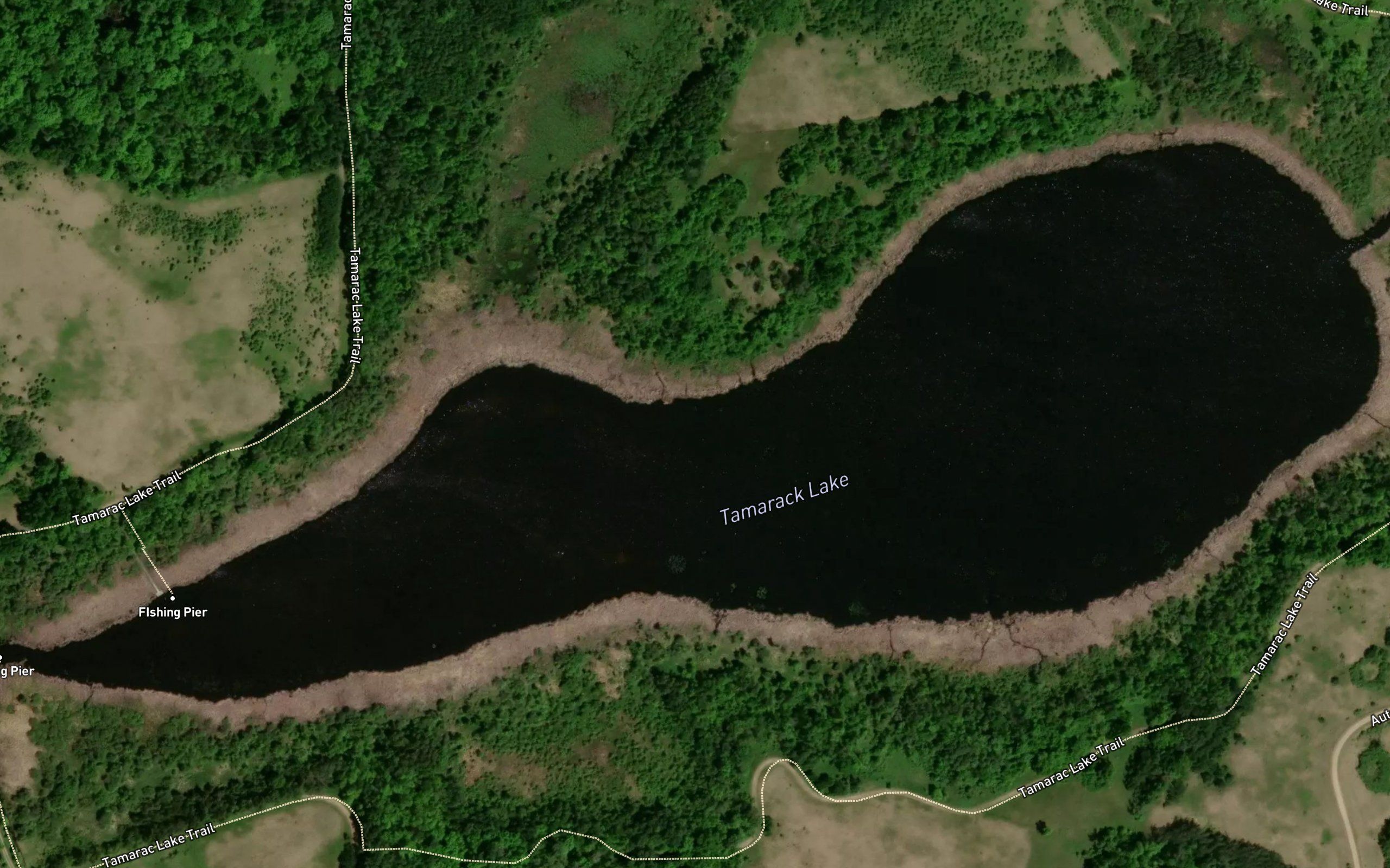 Tamarack Lake