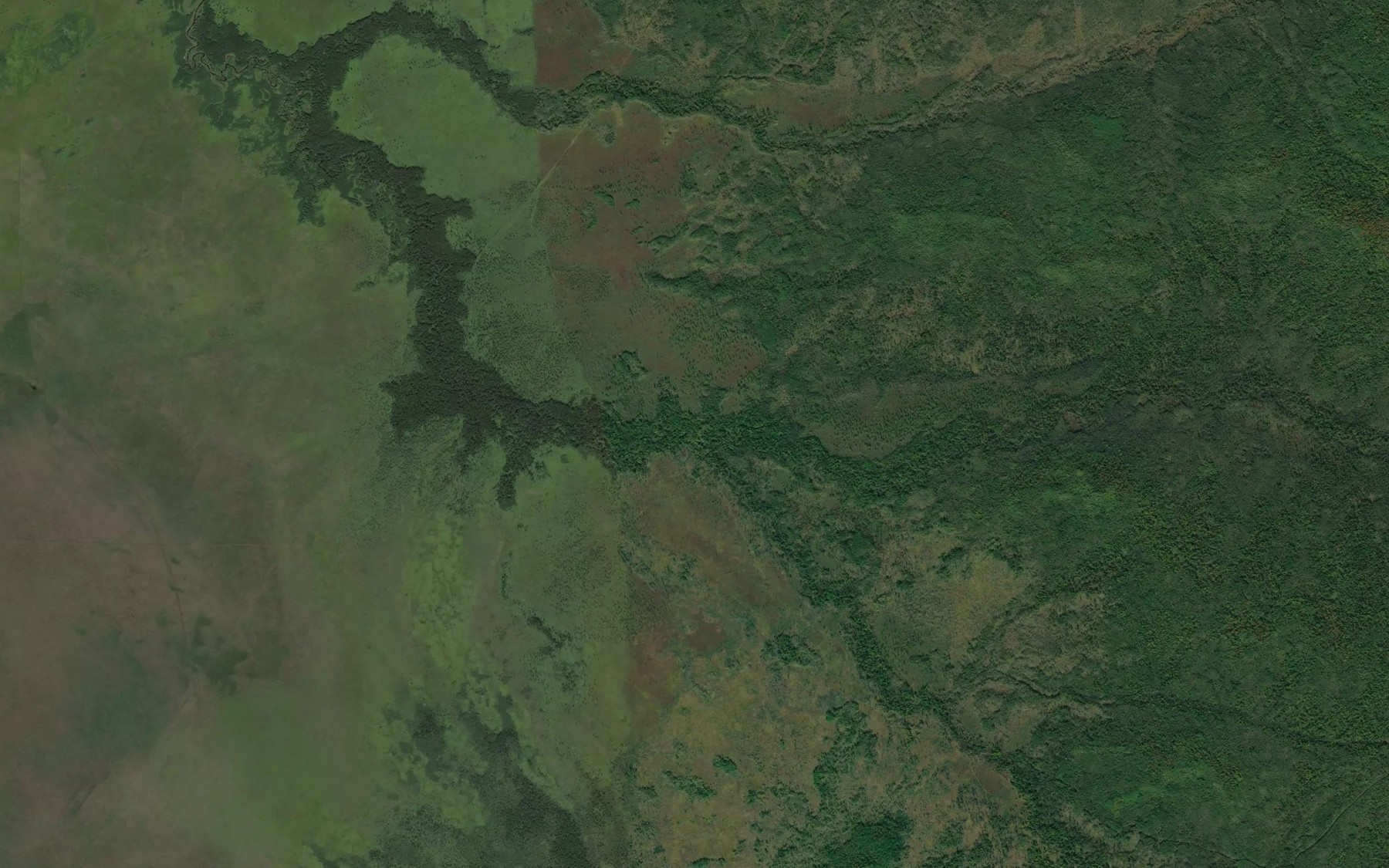 Satellite map of the Predgornaya