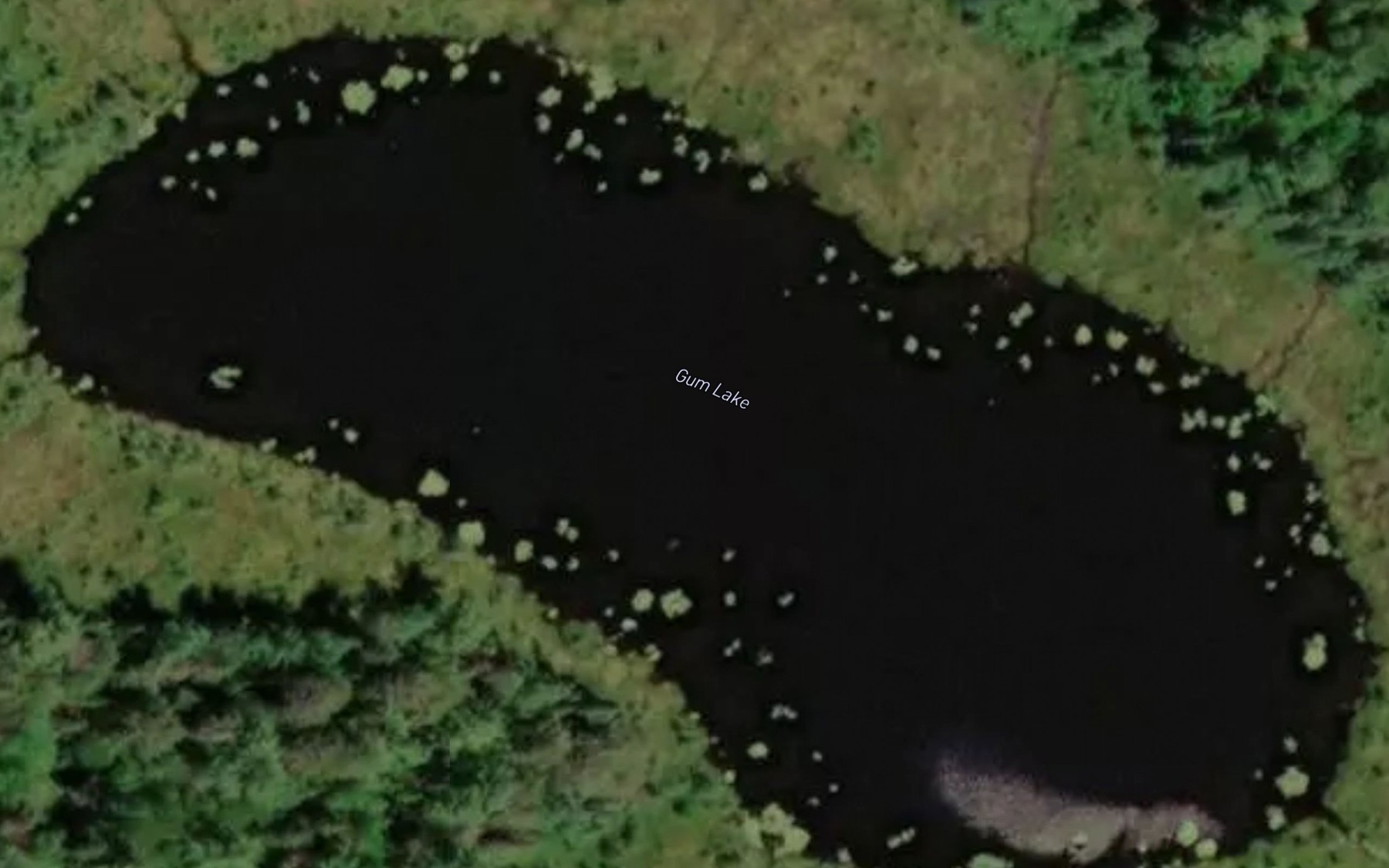 Satellite map of the Gum Lake