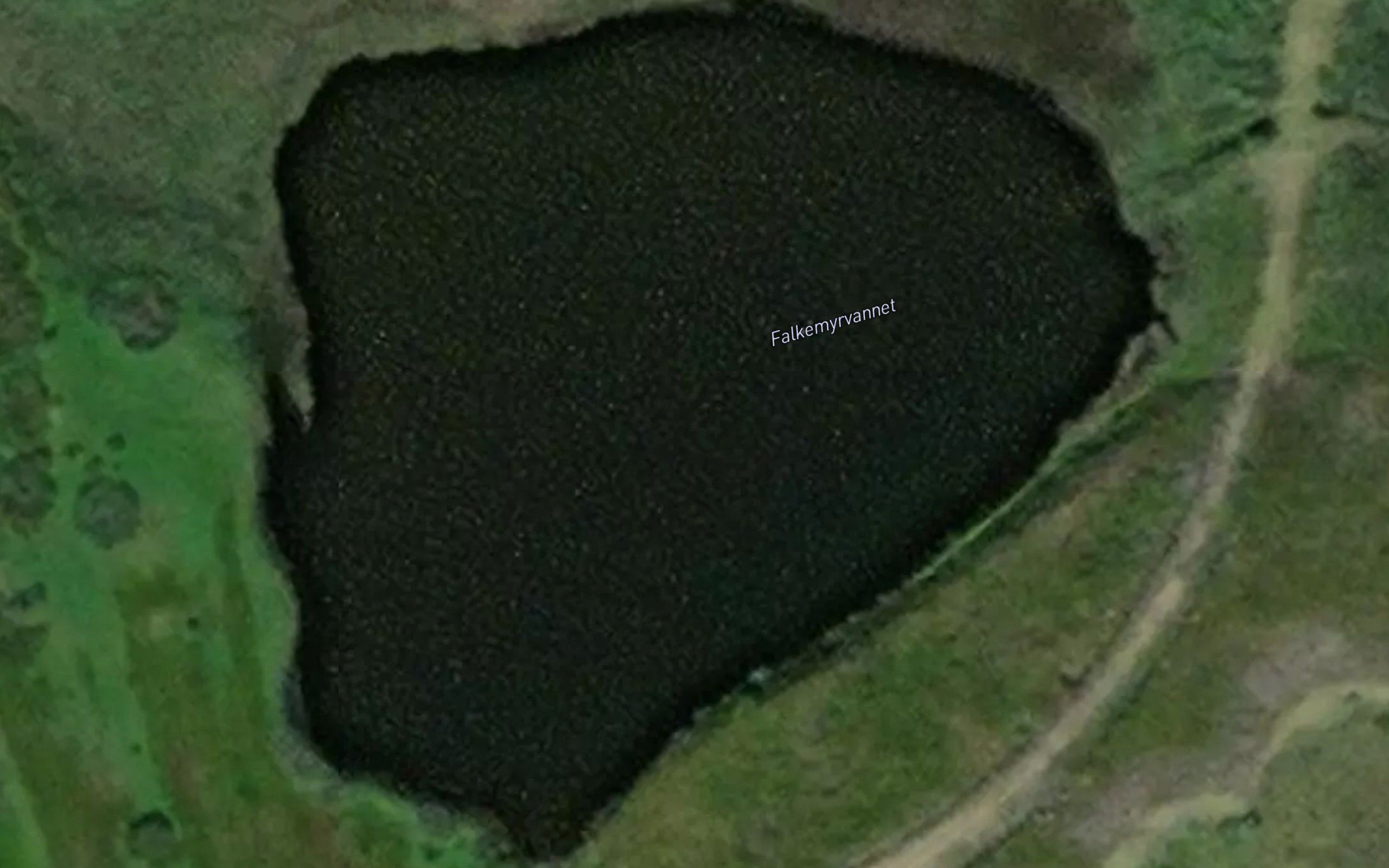Falkemyrvatnet