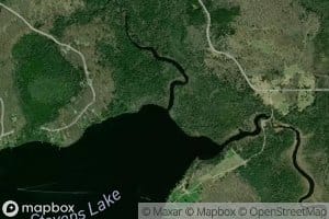 Lilypad Creek