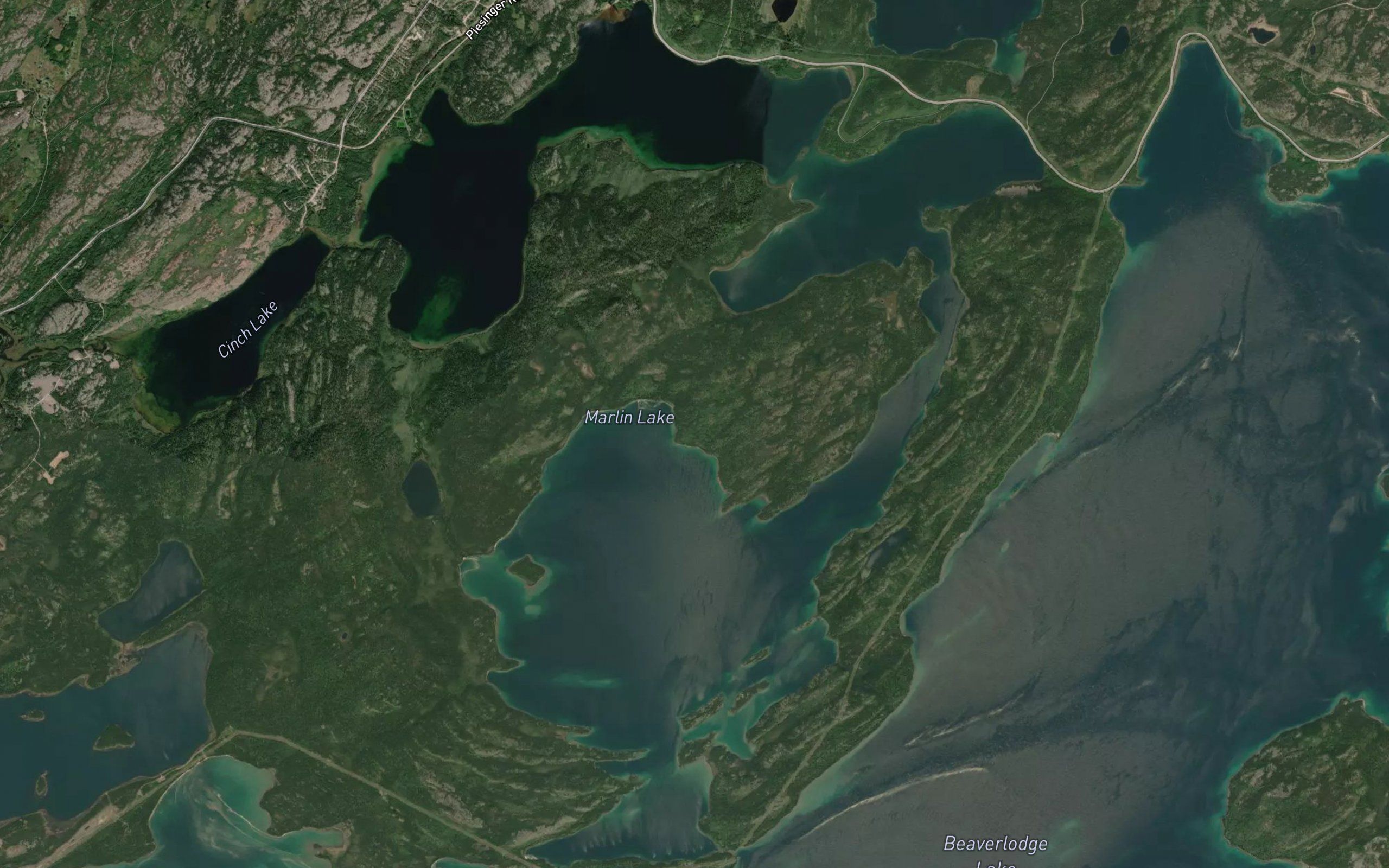 Martin Lake