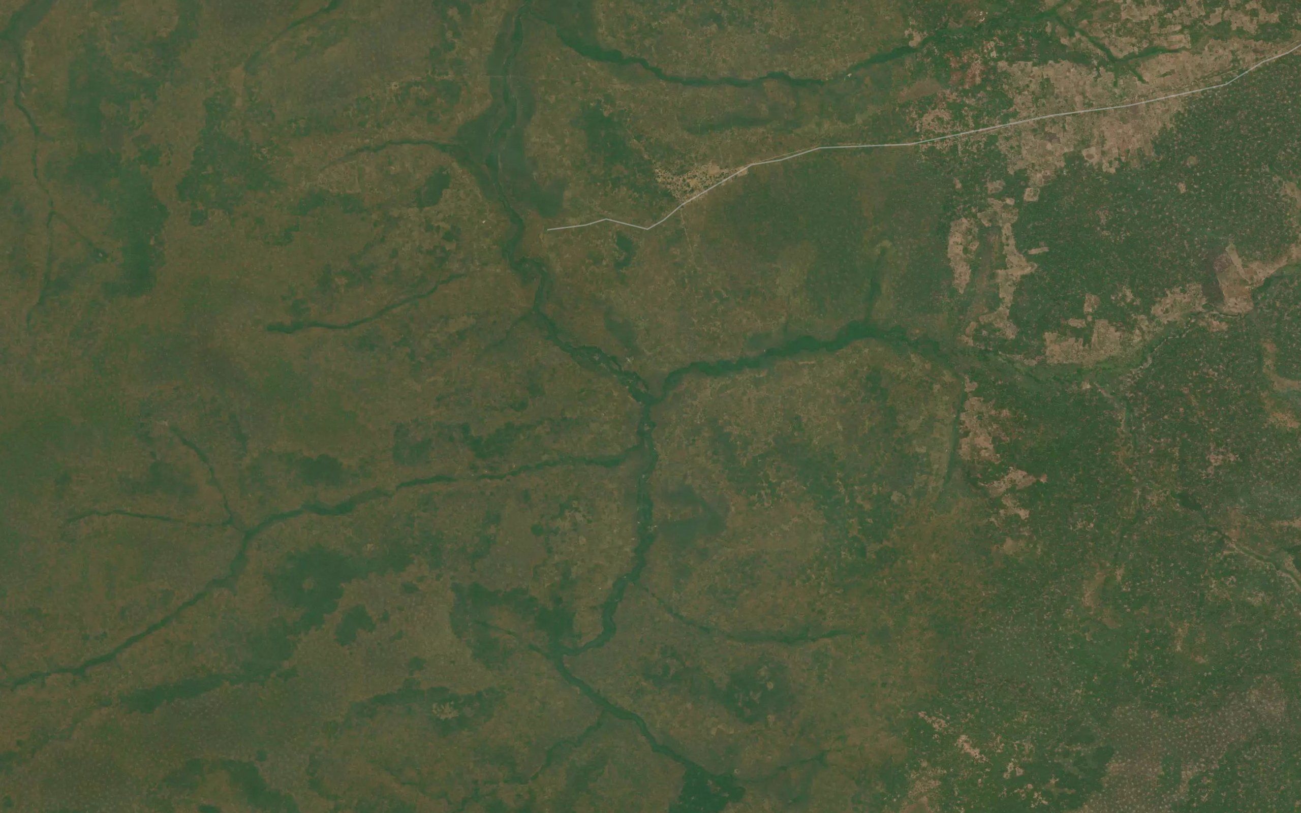 Munientunga
