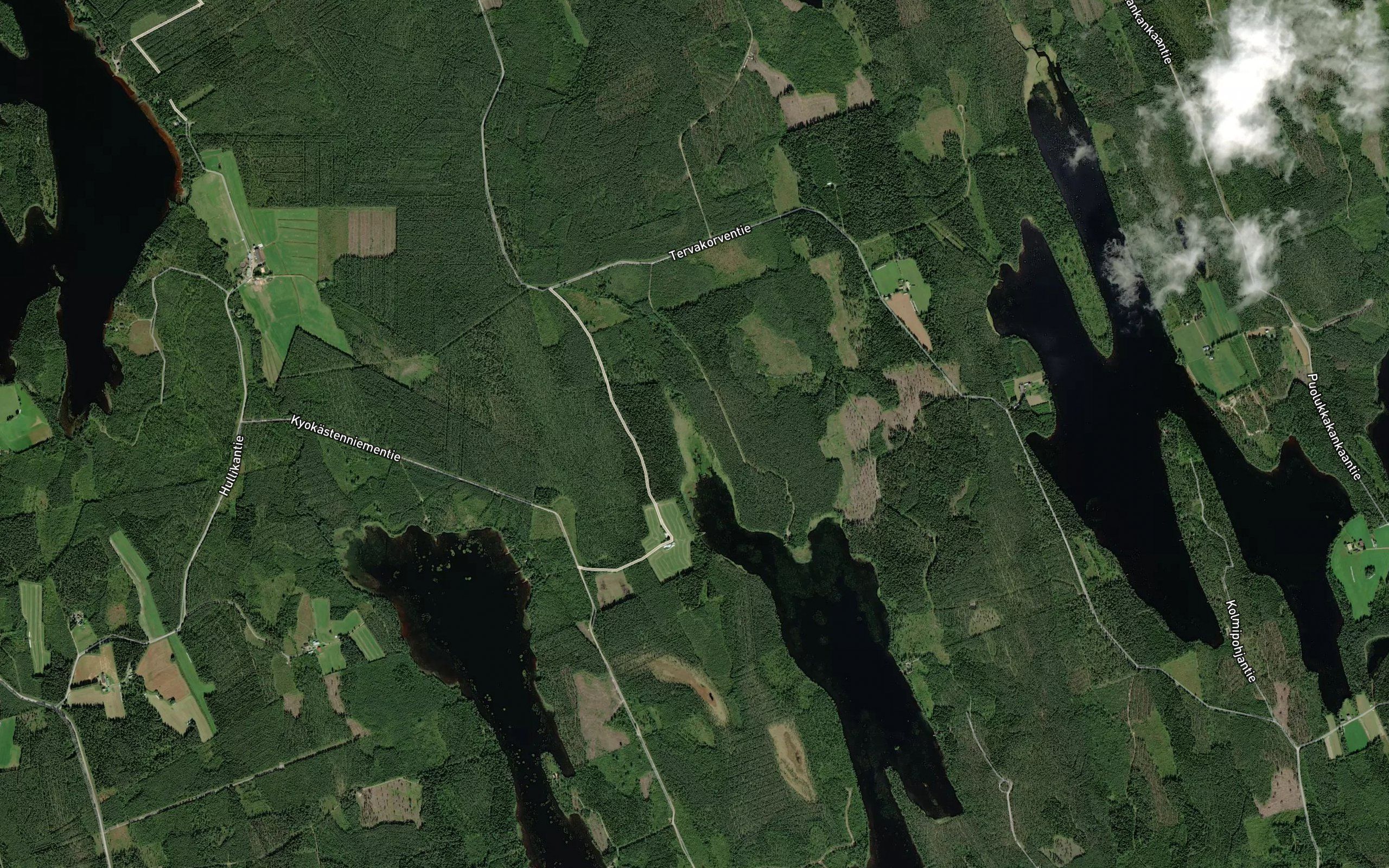 Tervajoki