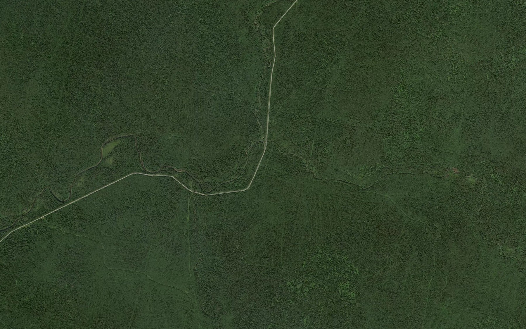 Satellite map of the Vostochnaya Oslyanka