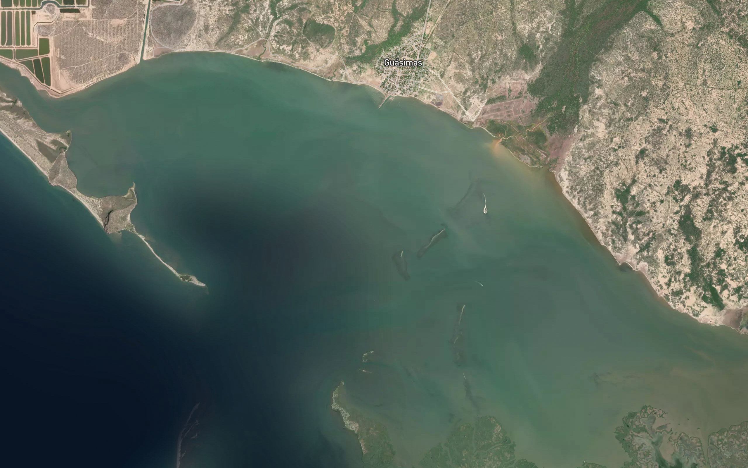 Bahia Guasima
