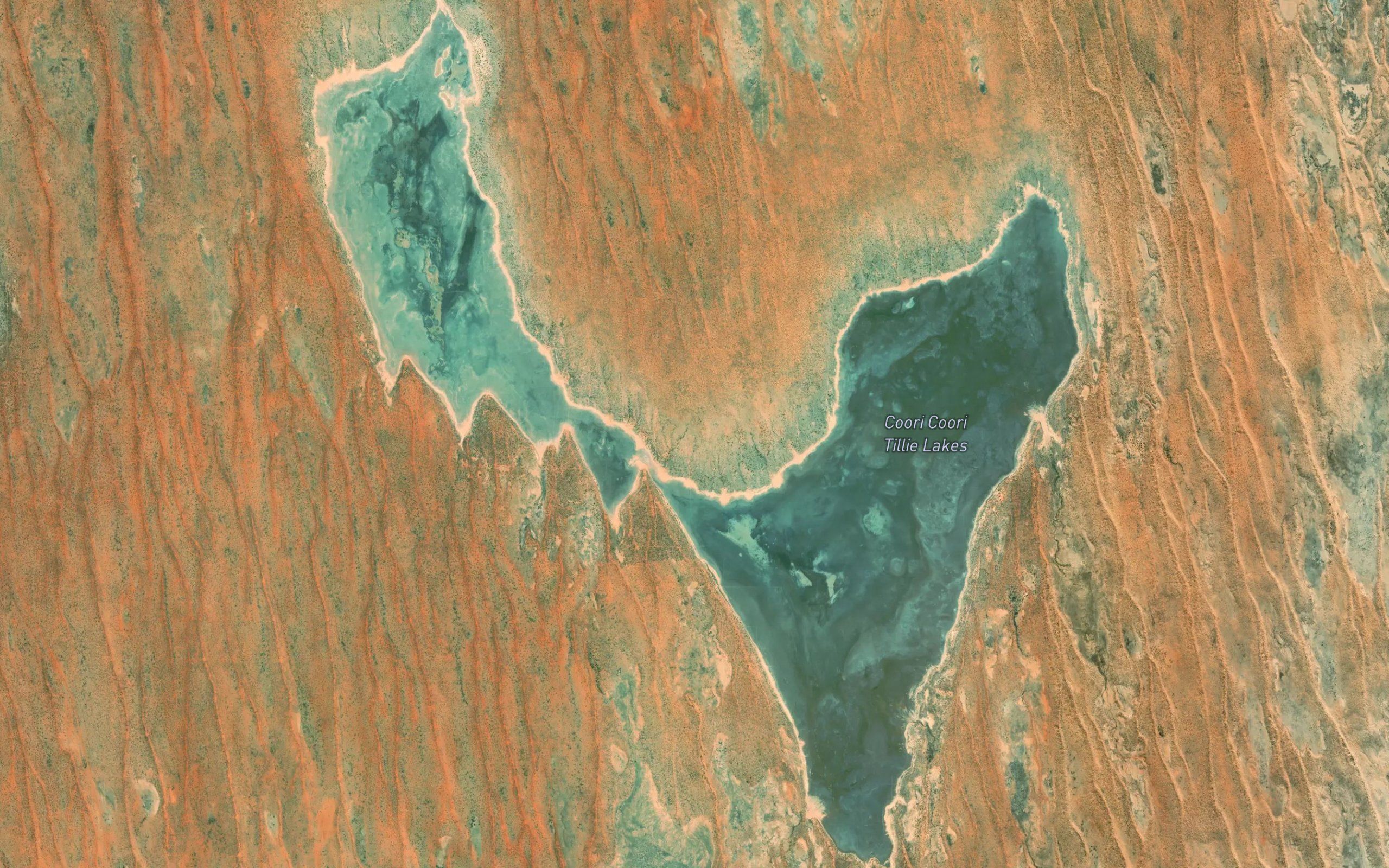 Coori Coori Tillie Lakes