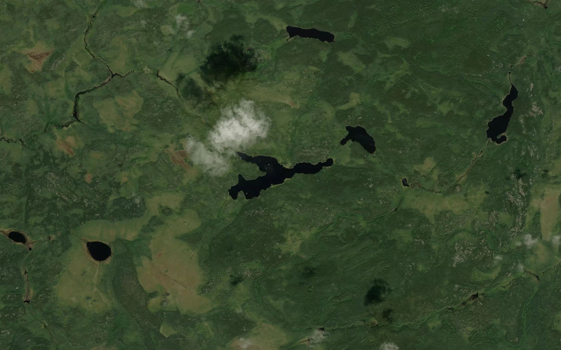 Satellite map of the Fork Lake