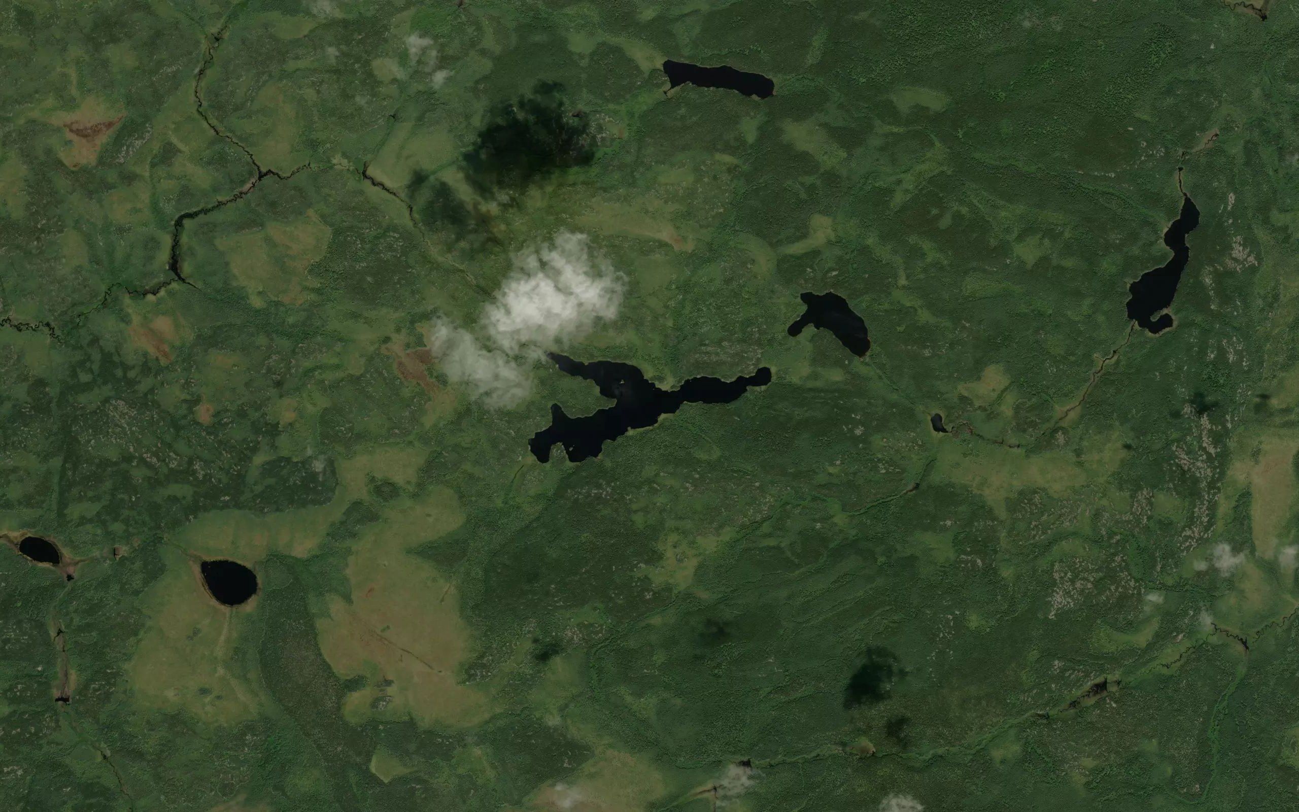 Fork Lake