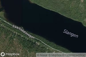 Slangen
