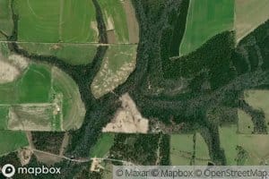 Juniper Creek