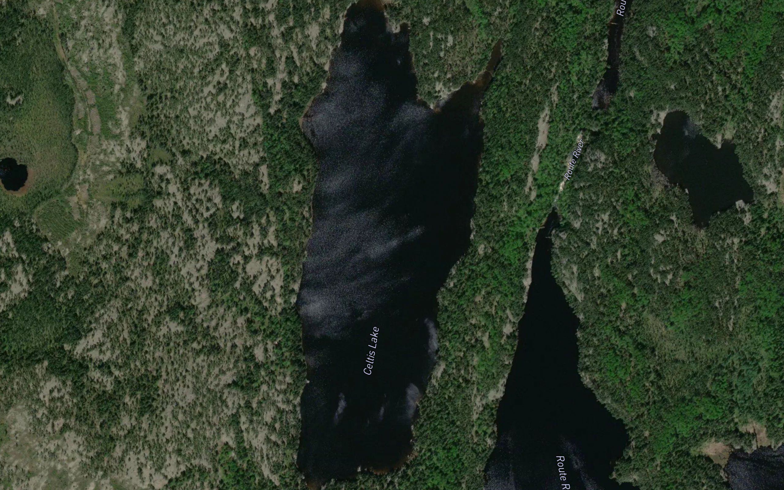 Celtis Lake
